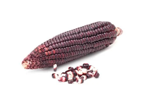 Purple corn Stock Photos