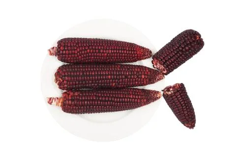 Purple corn Stock Photos