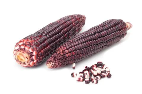 Purple corn Stock Photos
