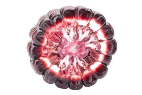 Purple corn Stock Photos