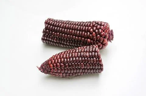 Purple corn on a white background. Stock Photos