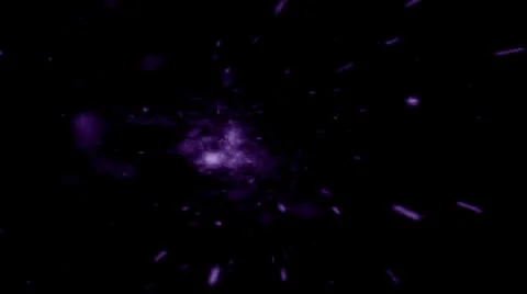 Purple Cosmos Vídeo Stock 8914830