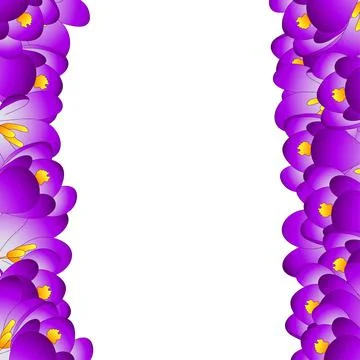 Purple Crocus Flower Border Stock Illustration
