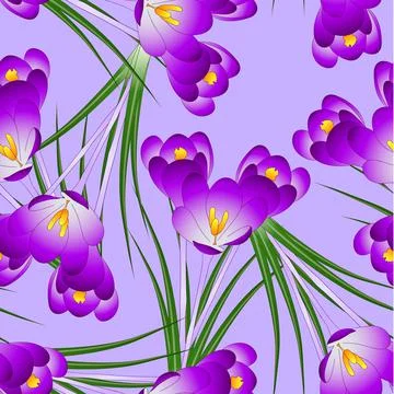 Purple Crocus Flower on Light Violet Background Stock Illustration