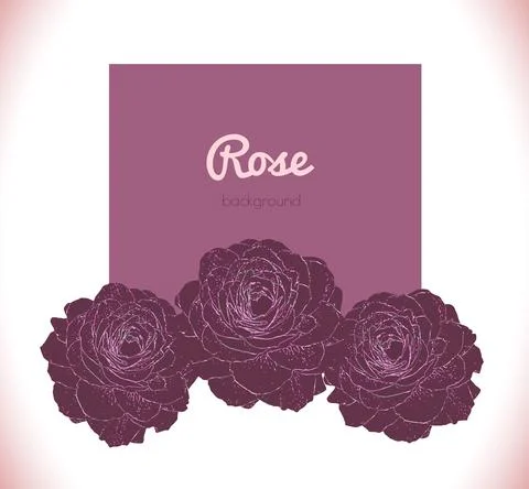 Purple dark rose vector background. Illustrazione stock