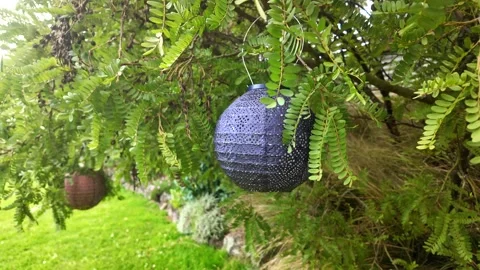 Purple decorative lantern hanging on tree branch in a green garden Stock Footage 330507177