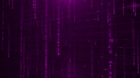 Purple digital data background 4K (More than 35 ) Stock-Footage 52178012