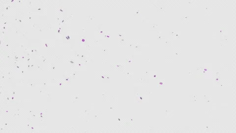 Purple digital particles moving overlay Stock Footage 264057561