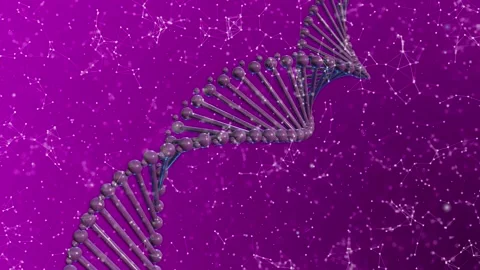 Purple Dna Plexus 스톡 동영상 154427607