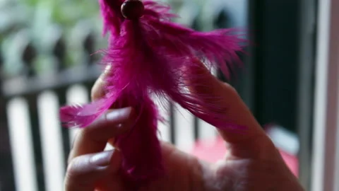Purple Dream Catcher in Window Close Tilt Up Stock Footage 159641078