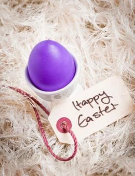 Purple easter egg amidst feathers Stock Photos