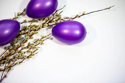 Purple easter eggs with catkins Stock Photos