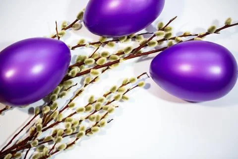 Purple easter eggs with catkins Stock Photos