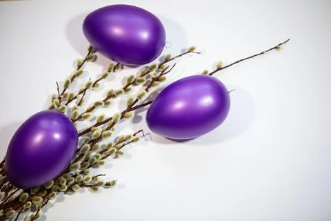 Purple easter eggs with catkins Stock Photos