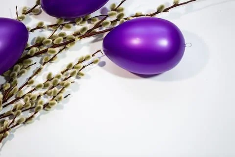 Purple easter eggs with catkins Stock Photos