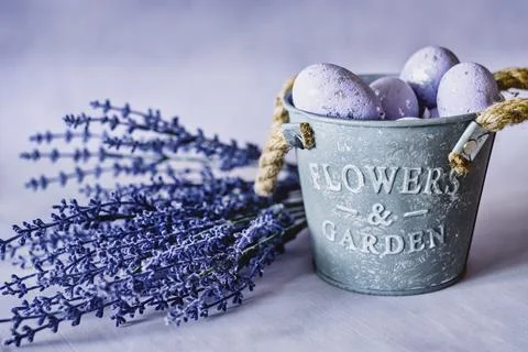 Purple Easter Eggs in iron jar with blue lavender flowers Stock Photos