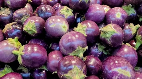 Purple Eggplants Video stock 320145880