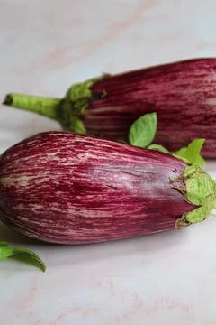 Purple eggplants Stock Photos