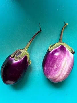 Purple eggplants Stock Photos