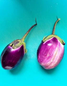 Purple eggplants Stock Photos