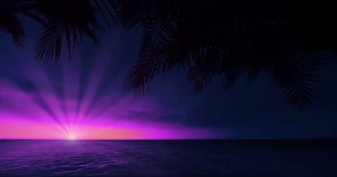 Purple evening sky view with shining left side sun surrounded by tropical pal Video stock 109624196