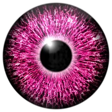 Purple eye 스톡 일러스트