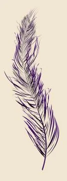 Purple feather Illustrazione stock