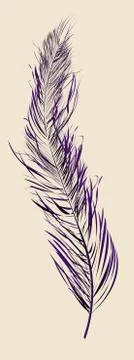 Purple feather Illustrazione stock