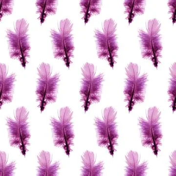 Purple feathers pattern Seamless pattern background with purple feathers o... Stock Photos