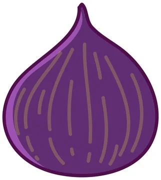 Purple Fig Fruit Vector Illustration on White Background Stock Illustration