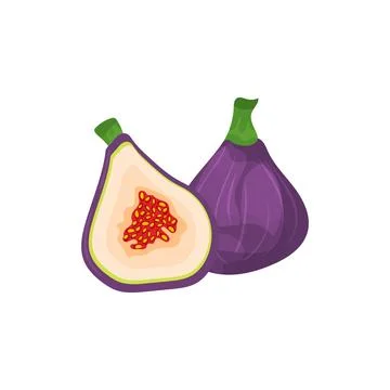 Purple figs in vector cartoon style, isolated on white background. Stock Illustration