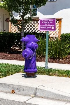 Purple fire hydrant marking a recycled water system, illustrating municipal.. Stock Photos
