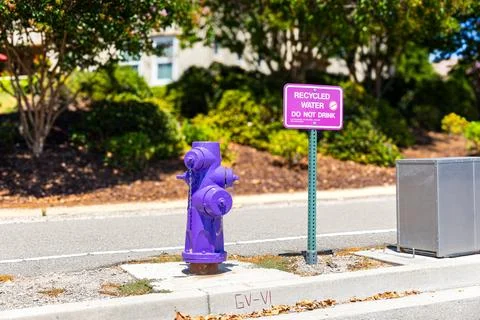 Purple fire hydrant representing recycled water, water conservation, sustai.. Stock Photos