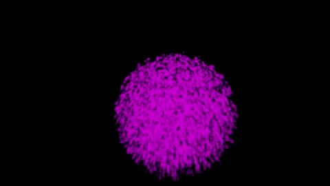 Purple fireworks on black background Stock Footage 337904481
