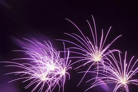 Purple fireworks Stock Photos