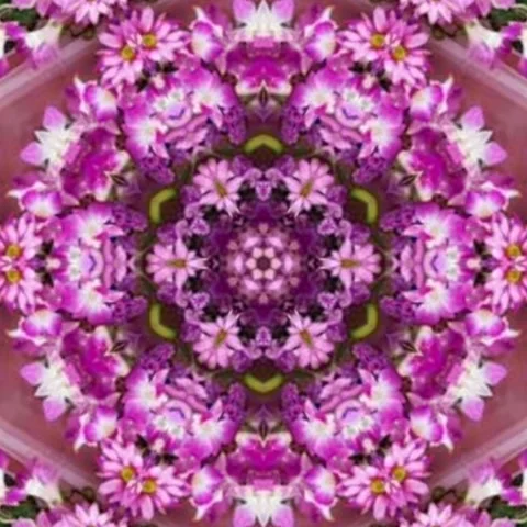 Purple Floral Pattern, Seamless geometry Circle Kaleidoscope Stock Footage 227526618