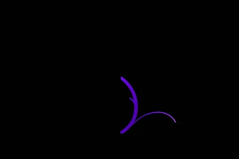 Purple Flourish Motion Design Element 02 Stock Footage