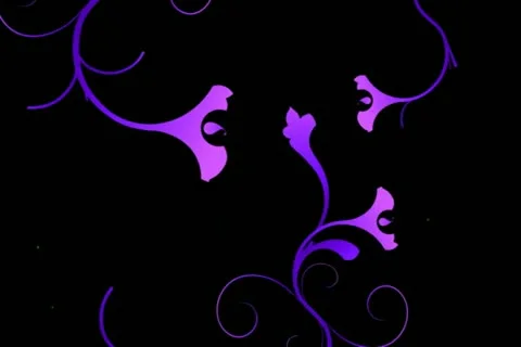 Purple Flourish Wipe Stock Footage 10874857