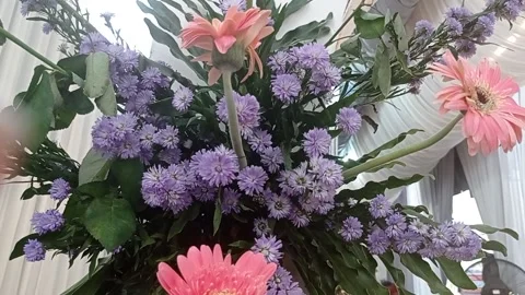 Purple flower Stock Footage 224291135