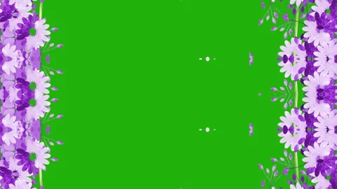 Purple Flower Frame on Green Background Stock Footage 284405802
