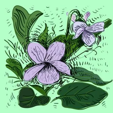 Purple flower Stock Illustration