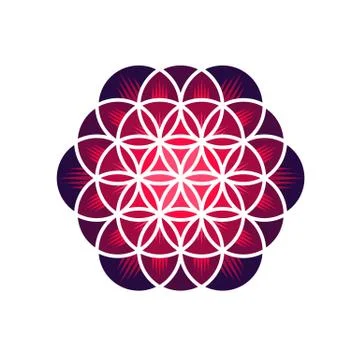Purple Flower of Life Stock Illustration