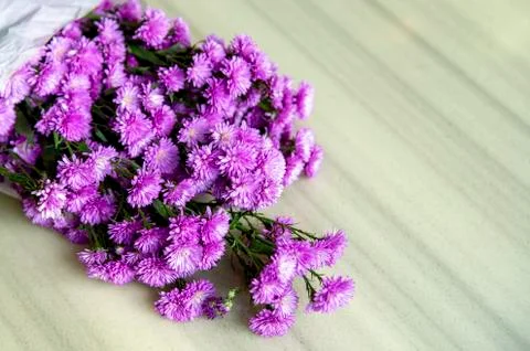 Purple flower on the table Stock-Fotos