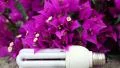 Purple flowers and energy-saving light bulb HD Footage