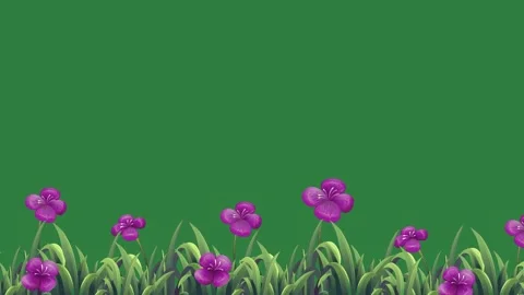 Purple flowers and grass Stock Footage 336971280
