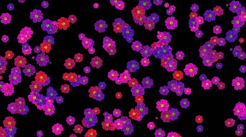 Purple Flowers Background Stock Footage 39022789