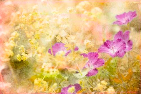 Purple Flowers Stock Illustration