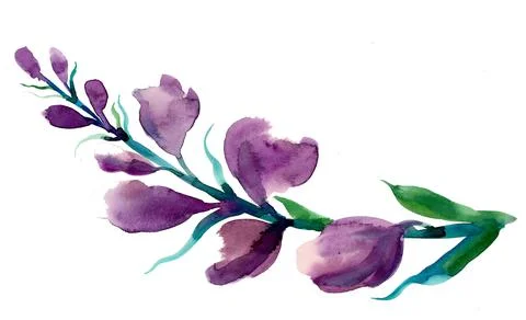 Purple flowers Stock Illustration