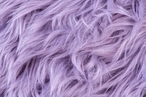 Purple fur texture top view. Purple sheepskin background. Fur pattern. Text.. Stock Photos