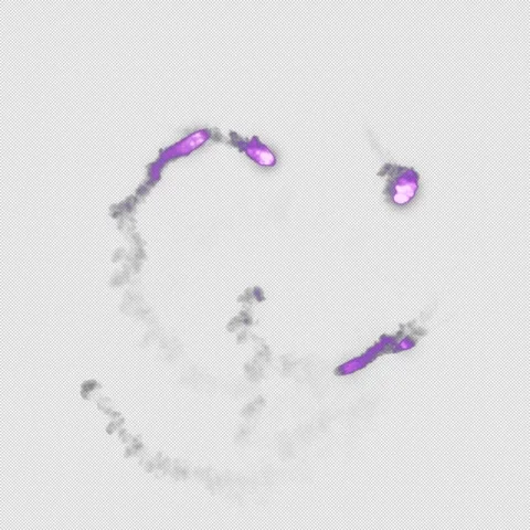 Purple Ghost Assemble Alpha - High Quality Stock Footage Stock Footage 310749754